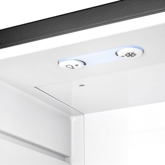 First Austria FA5172-1 thermo-elektrische mini koelkast 30 liter matzwart draaiknoppen verlichting en temperatuurregelaar
