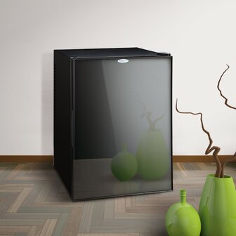 Technomax TP40NS thermo-elektrische minibar koelkast 40 liter zwart op vloer