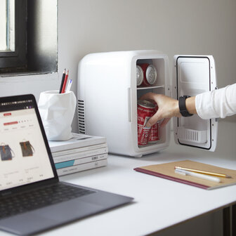 Balvi mini fridge ice white 6 liter 27297 220V 12V op bureau tafel