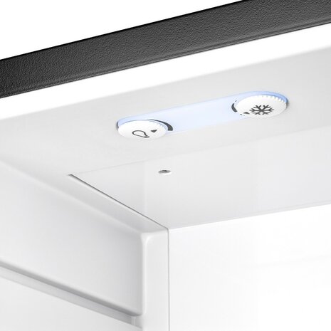 First Austria FA5172-1 thermo-elektrische mini koelkast 30 liter matzwart draaiknoppen verlichting en temperatuurregelaar