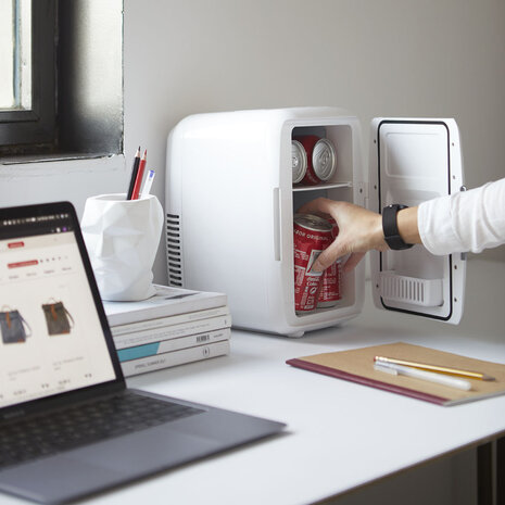 Balvi mini fridge ice white 6 liter 27297 220V 12V op bureau tafel